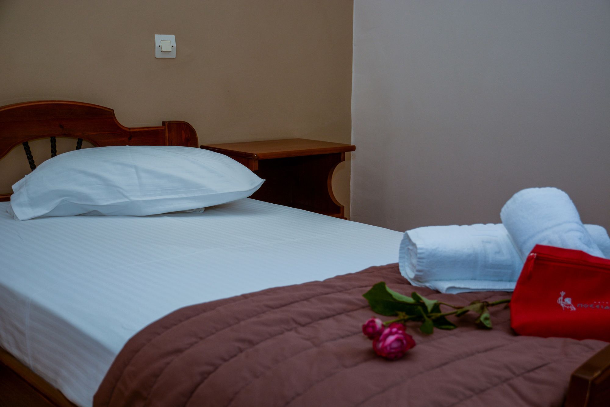 Poseidonio Hotel Tínos Esterno foto